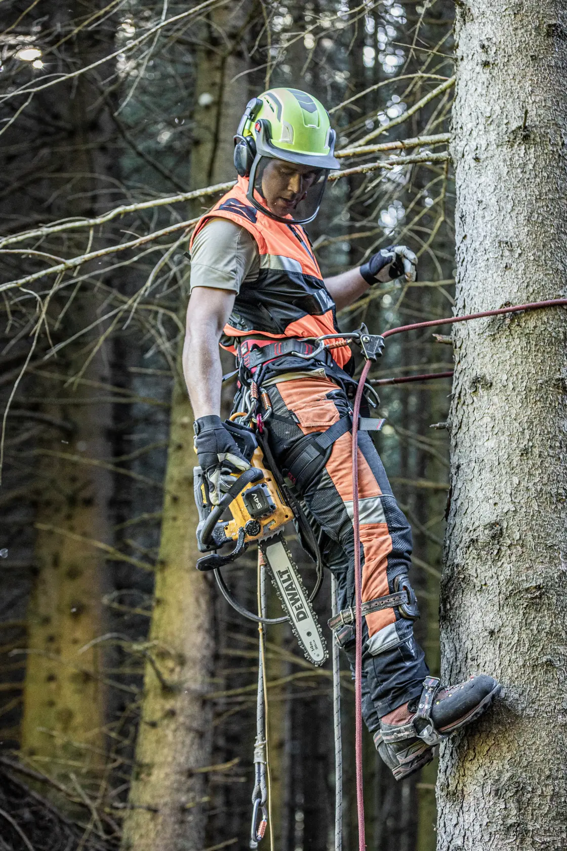 54V XR FLEXVOLT yläkahvallinen ketjusaha, runko