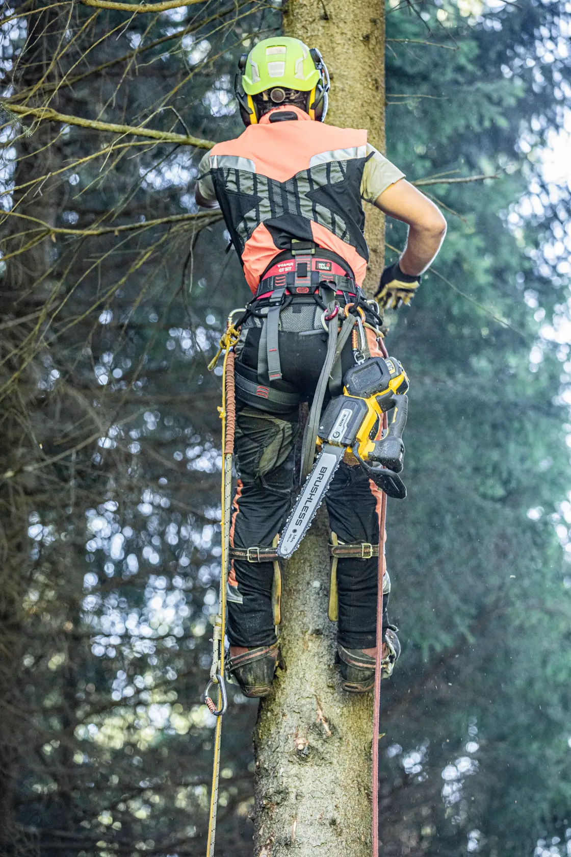 54V XR FLEXVOLT yläkahvallinen ketjusaha, runko