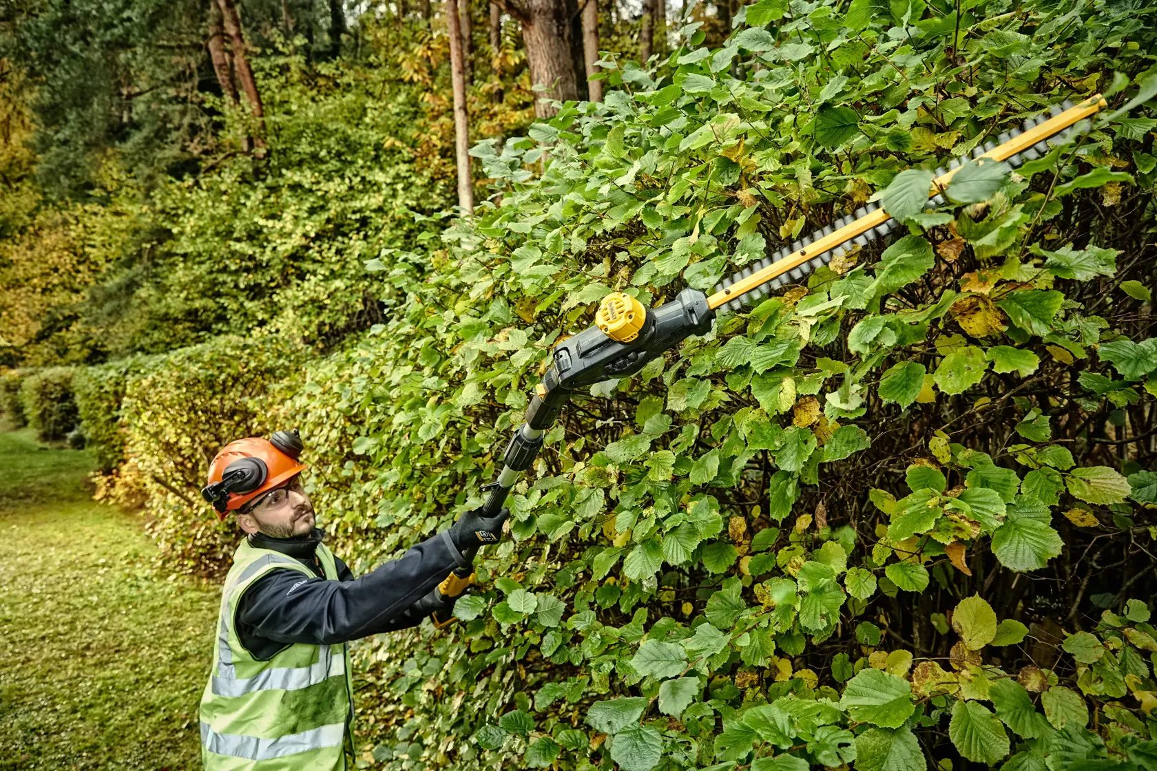18V XR varrellinen pensasleikkuri, runko