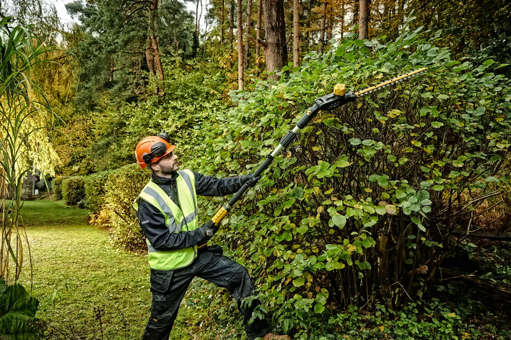 18V XR varrellinen pensasleikkuri, runko