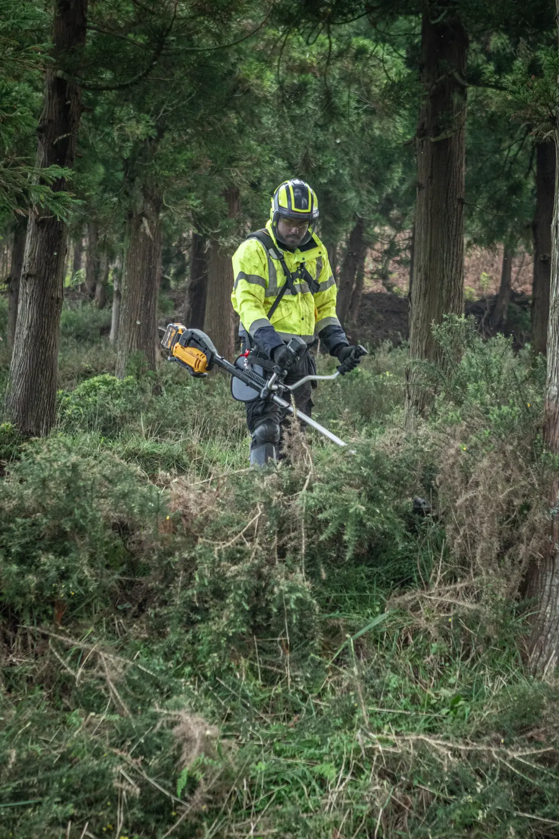 Worker uses DEWALT DCMST922N, DCMST922N-XJ brush cutter in forest. Product category: Photography.